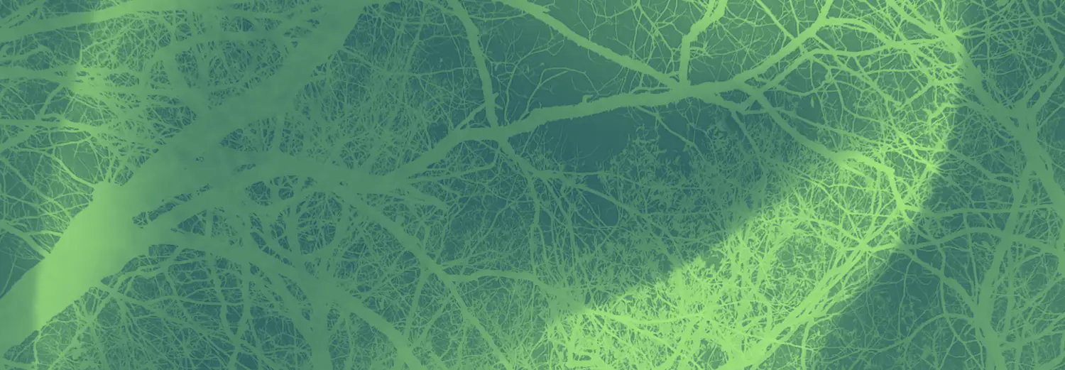 Escota ! • Joan Francés Tisnèr