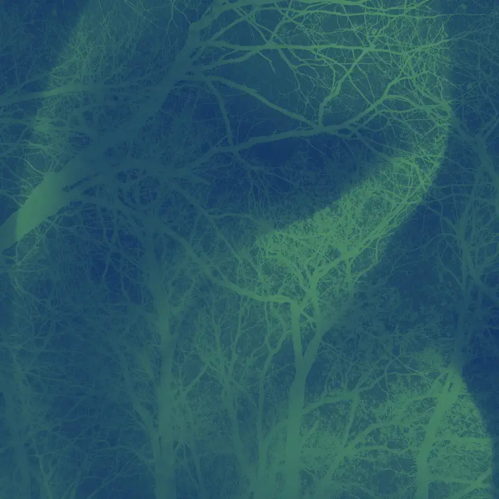 Escota - Joan Frances Tisner