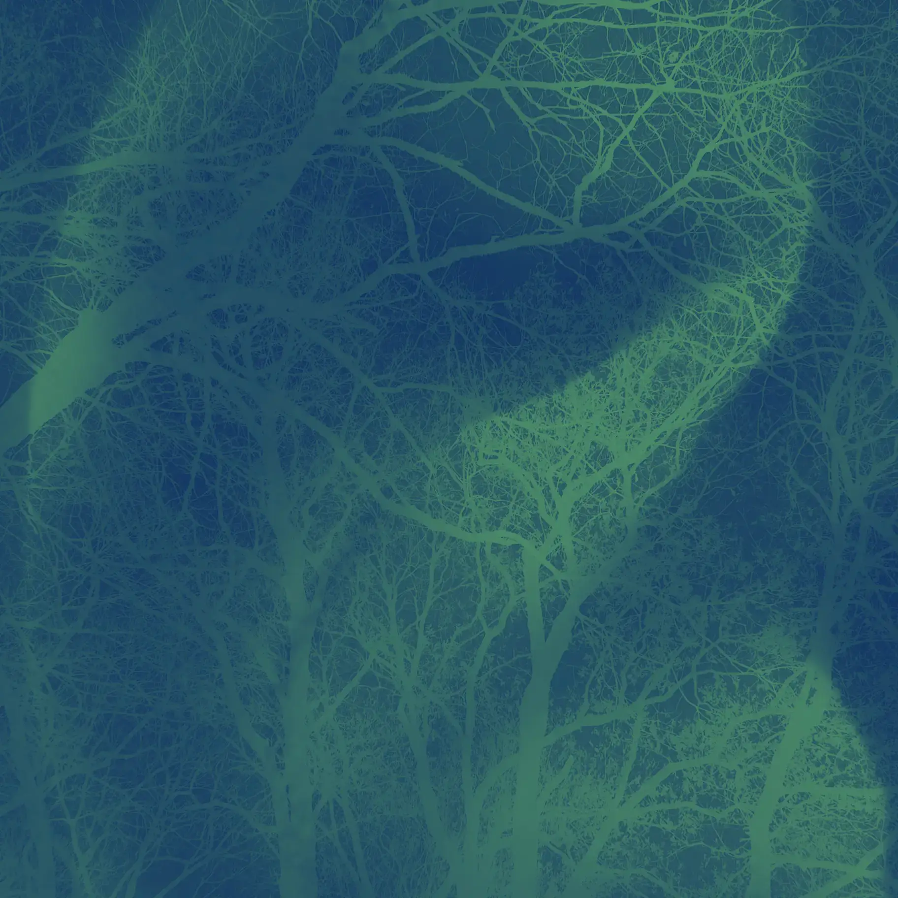 Escota - Joan Frances Tisner