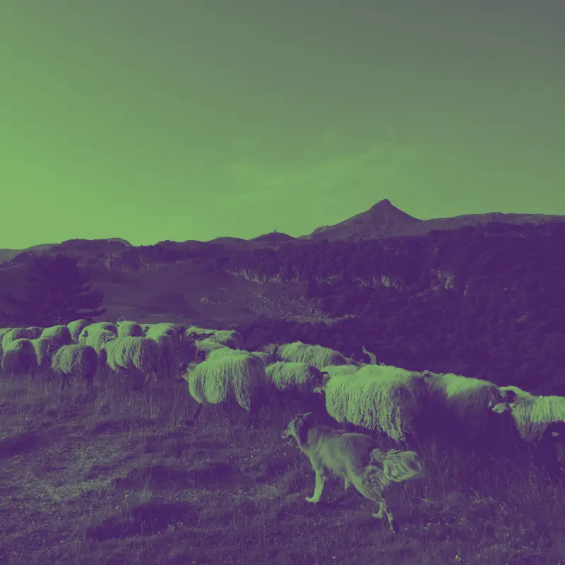 Era Sòuta • Julia Hanadi Al Abed