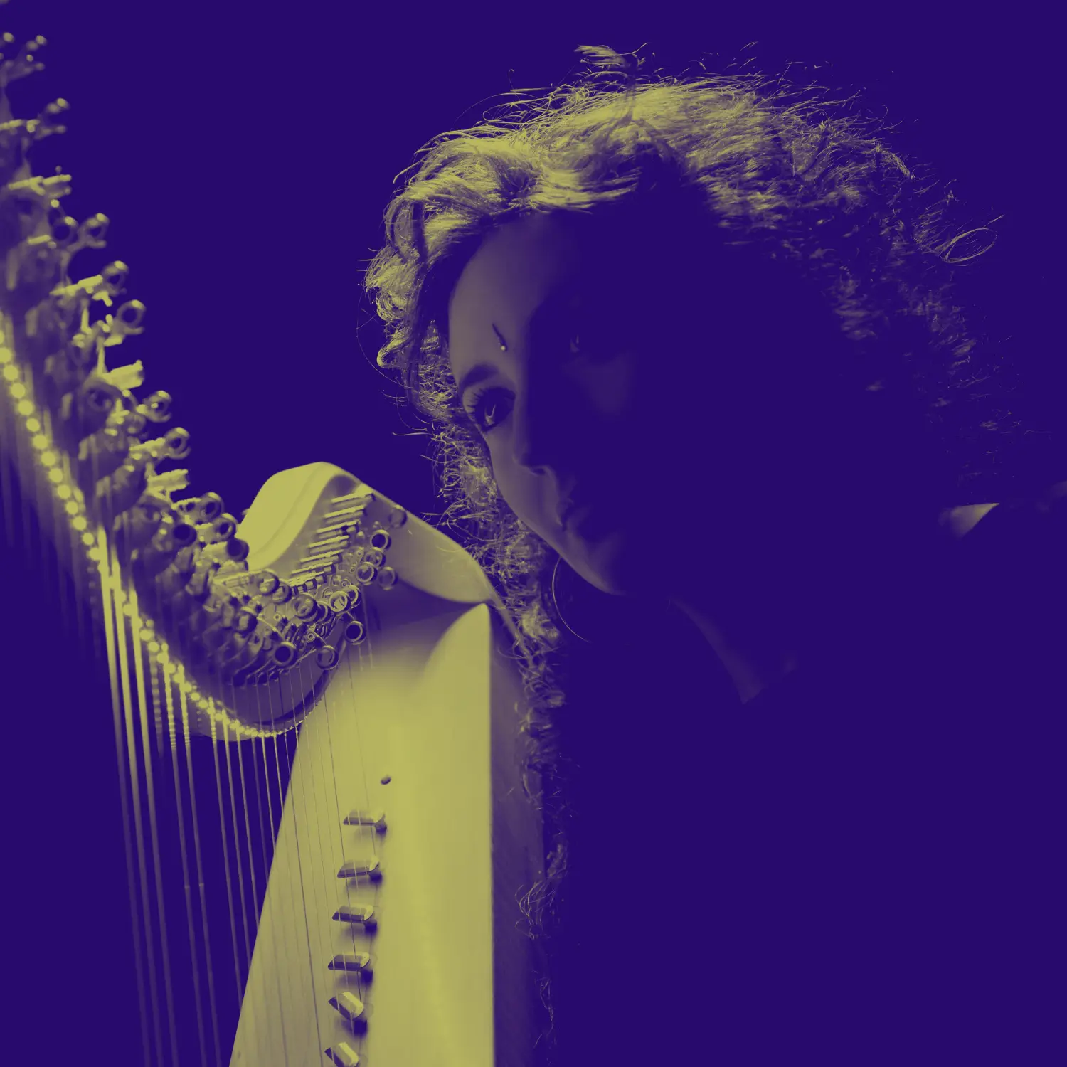 Le l'oeil de l'arbre - Lina Bellard - Résidence CERC