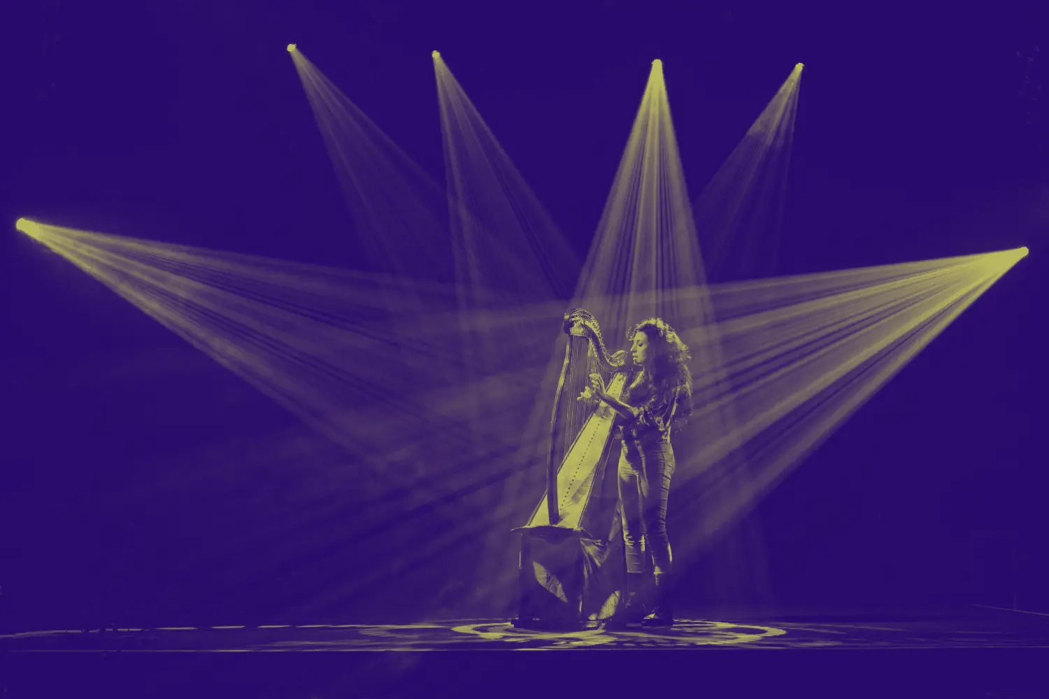 Le l'oeil de l'arbre - Lina Bellard - Résidence CERC