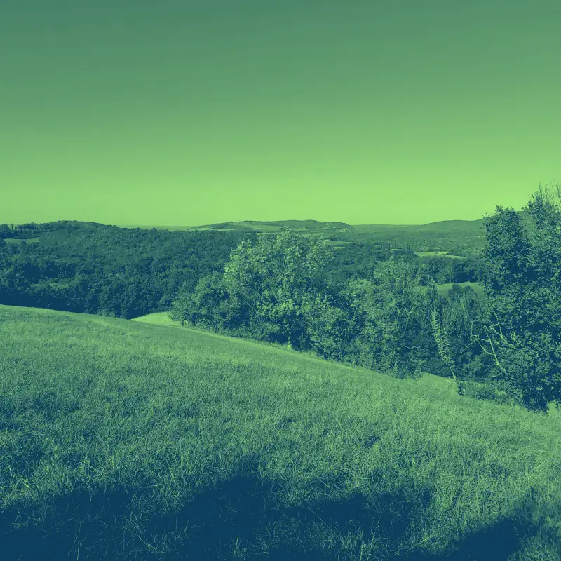 Aina Tulier - La Fille des Collines - Résidence CERC