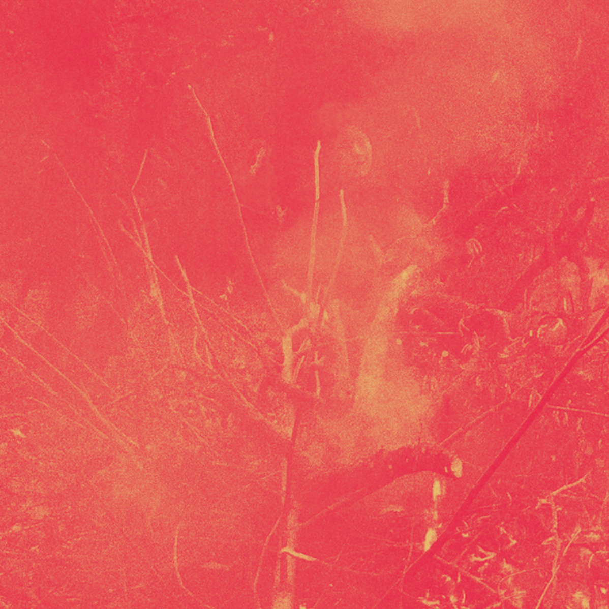 Urzu - Elsa Lambey - Résidence CERC