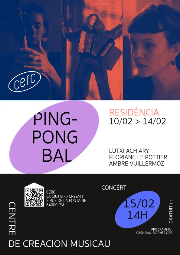 Affiche Ping-Pong Bal Carnaval Biarnés 2026